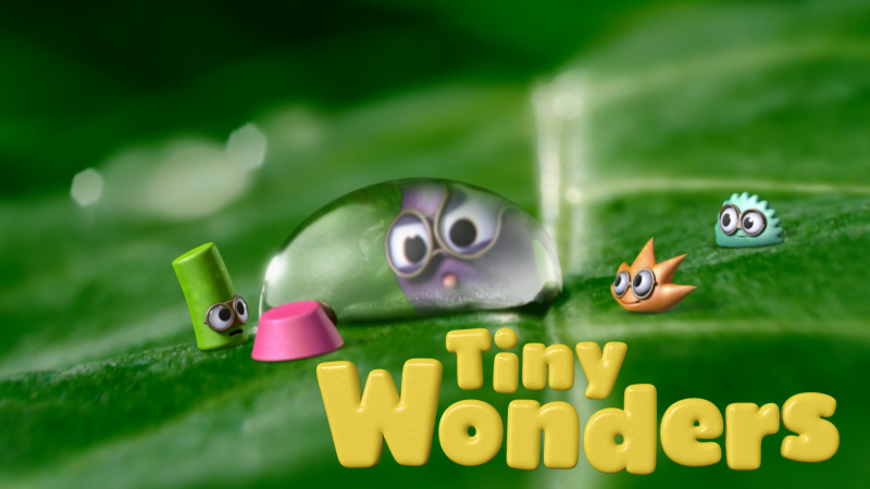 Tiny Wonders