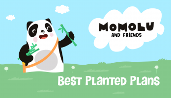 Best Planted Plans
