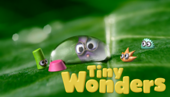 Tiny Wonders