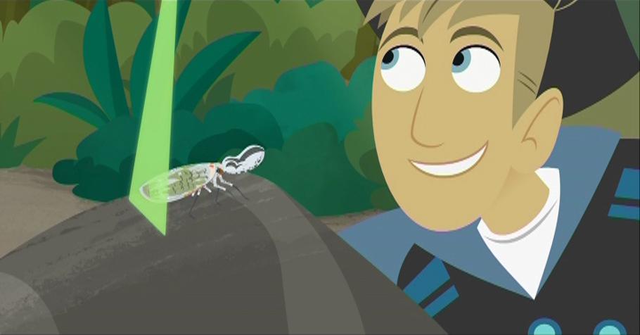 Wild Kratts - S2E7 - Bugs or Monkeys | Knowledge Kids